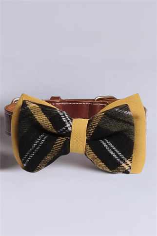 Asky&Erd Bow Tie Mustard Köpek Papyon