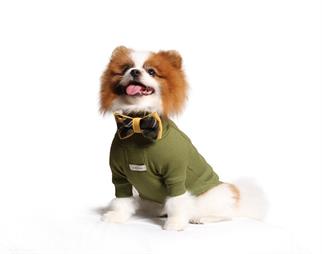 Asky&Erd Bow Tie Mustard Köpek Papyon