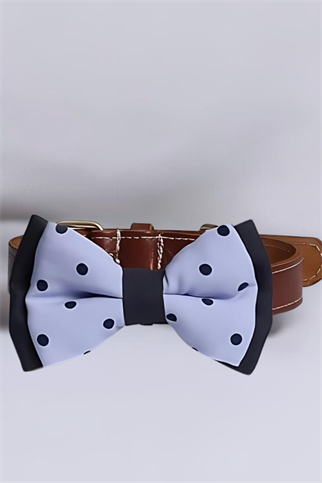 Asky&Erd Bow Tie Navy Dots Köpek Papyon