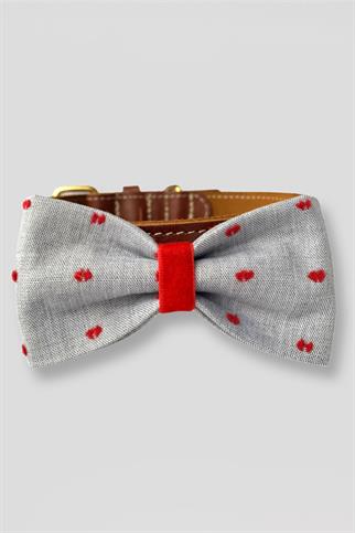 Asky & Erd Bow Tie Red Dots Dog Papyon