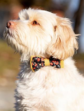 Asky&Erd Bow Tie Red Flowers Köpek Papyon