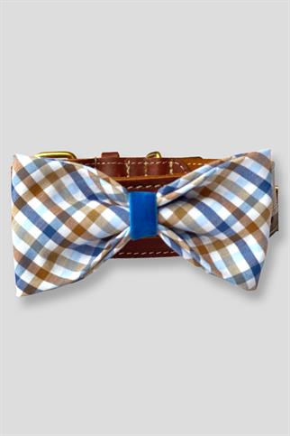 Asky & Erd Bow Tie Sandy Blue Dog Papyon