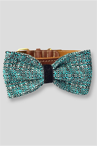 Asky & Erd Bow Tie Tie Teal Black Dog Papyon