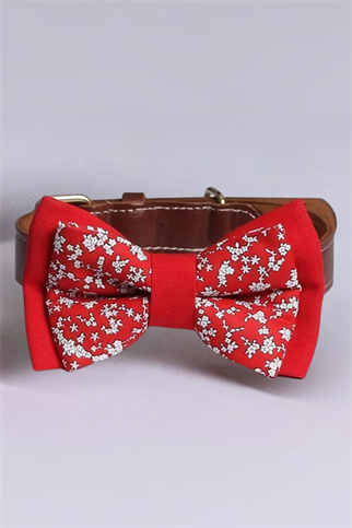 Asky&Erd Bow Tie White Flowers Köpek Papyon