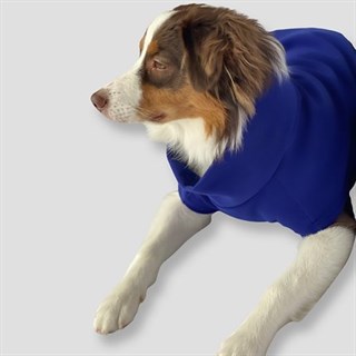 Asky&Erd Cachet Vest Azure Blue Köpek Hoodie