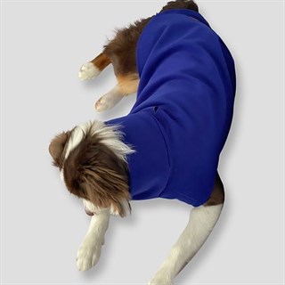 Asky&Erd Cachet Vest Azure Blue Köpek Hoodie