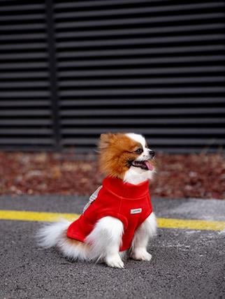 Asky&Erd Cachet Vest CANDY APPLE Köpek Hoodie