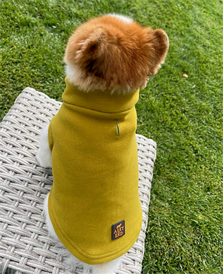 Asky&Erd Cachet Vest Chartreuse Köpek Hoodie