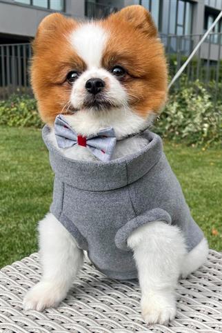 Asky&Erd Cachet Vest Cloudy Grey Köpek Hoodie