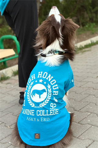 Asky&Erd Canine College High Honour Tshirt | Turquoise 