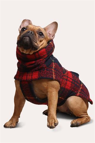 Asky&Erd Chicago Vest - Red Plaid Köpek Yeleği
