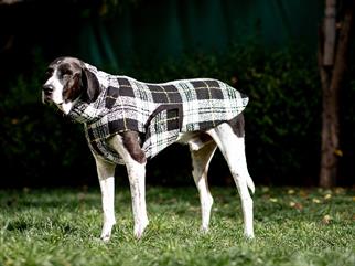 Asky&Erd Chicago Vest - White Plaid Köpek Yeleği