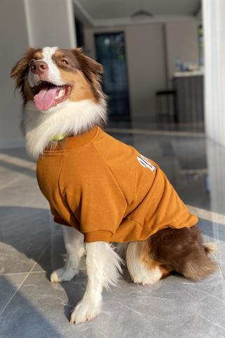 Asky&Erd Dream City Collection - London Köpek Sweatshirtü