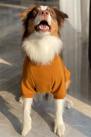 Asky&Erd Dream City Collection - London Köpek Sweatshirtü