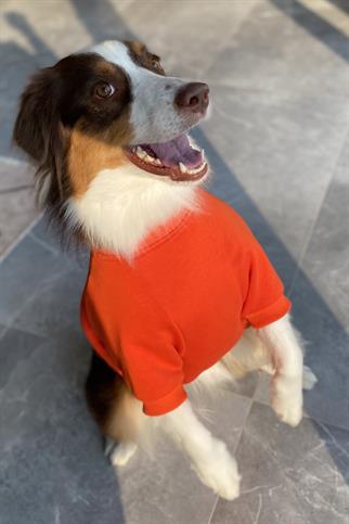 Asky&Erd Dream City Collection - Los Angles Köpek Sweatshirtü