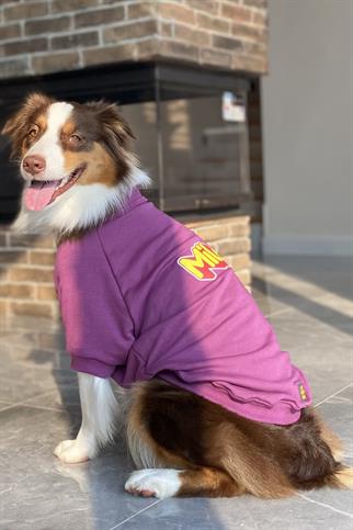 Asky&Erd Dream City Collection - Milano Köpek Sweatshirtü