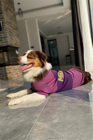 Asky&Erd Dream City Collection - Milano Köpek Sweatshirtü