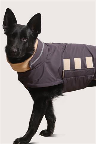 Asky&Erd Extreme Wheater Coat I Anchor Grey Köpek Montu
