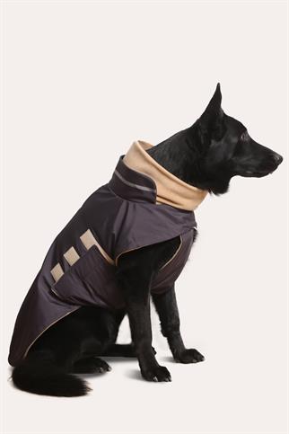 Asky&Erd Extreme Wheater Coat I Anchor Grey Köpek Montu