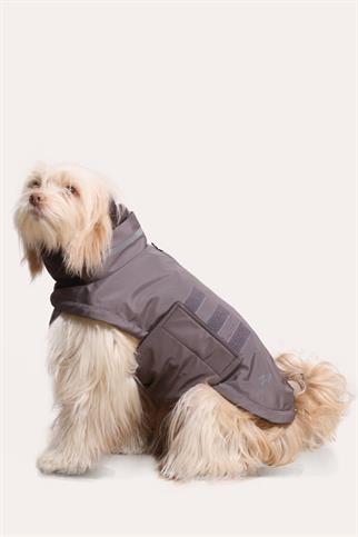 Asky&Erd Extreme Wheater Coat I Cloudy Grey Köpek Montu
