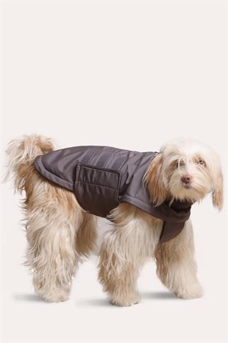 Asky&Erd Extreme Wheater Coat I Cloudy Grey Köpek Montu