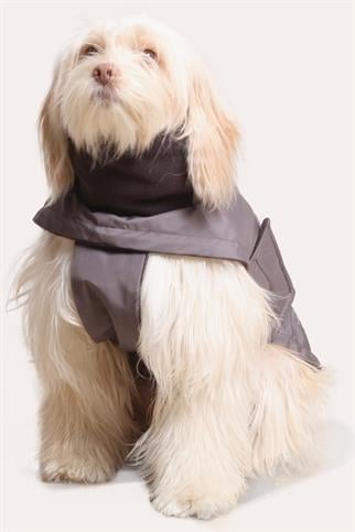 Asky&Erd Extreme Wheater Coat I Cloudy Grey Köpek Montu