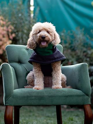 Asky&Erd Extreme Wheater Coat I Ink Köpek Montu