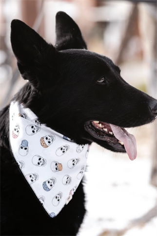 Asky&Erd Hippie Bandana 