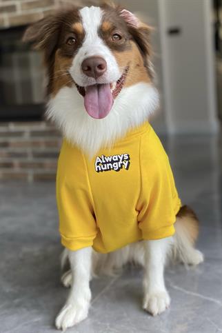 Asky&Erd “I am”.. Sweatshirts Collection - Always Hungry Köpek Sweatshirtü