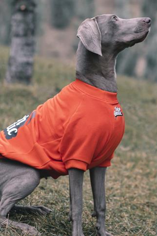 Asky&Erd “I am”.. Sweatshirts Collection - Fetch Fanatic Köpek Sweatshirtü