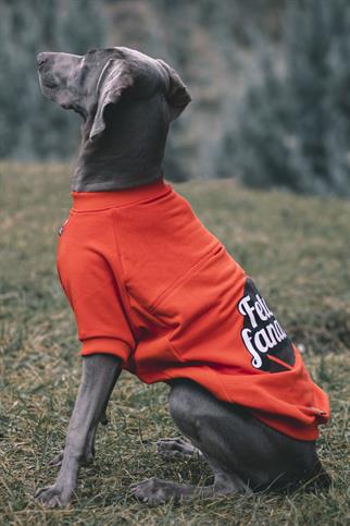 Asky&Erd “I am”.. Sweatshirts Collection - Fetch Fanatic Köpek Sweatshirtü