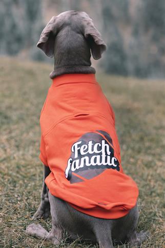 Asky&Erd “I am”.. Sweatshirts Collection - Fetch Fanatic Köpek Sweatshirtü