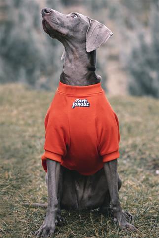 Asky&Erd “I am”.. Sweatshirts Collection - Fetch Fanatic Köpek Sweatshirtü