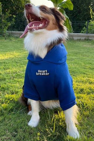 Asky&Erd “I am”.. Sweatshirts Collection - Heart Breaker Köpek Sweatshirtü