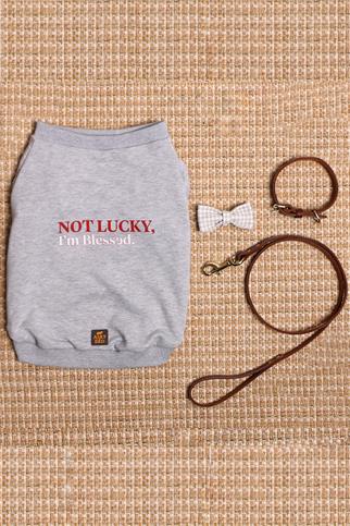 Asky&Erd Köpek Blessed  Signature Sweatshirt