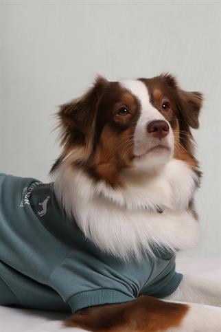 Asky&Erd Köpek DogFluencer  Signature Sweatshirt