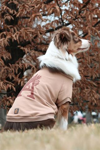 Asky&Erd Köpek Signature Sweatshirt A