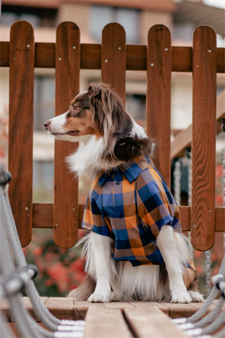 Asky&Erd Plaid Shirt | Deep Azure
