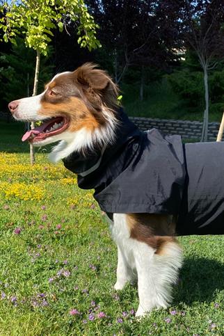 Asky&Erd Raincoat | Coal Köpek Yağmurluğu