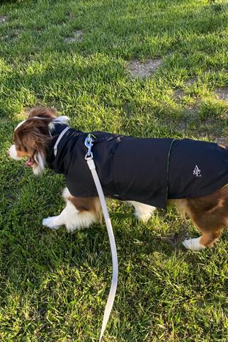 Asky&Erd Raincoat | Coal Köpek Yağmurluğu