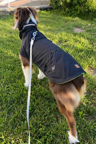Asky&Erd Raincoat | Coal Köpek Yağmurluğu