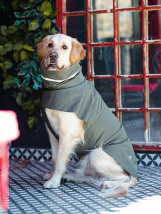 Asky&Erd Raincoat | Juniper Green Köpek Yağmurluğu