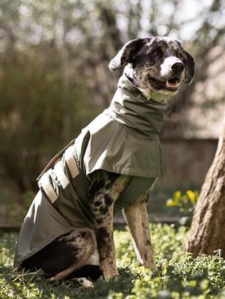Asky&Erd Raincoat | Juniper Green Köpek Yağmurluğu