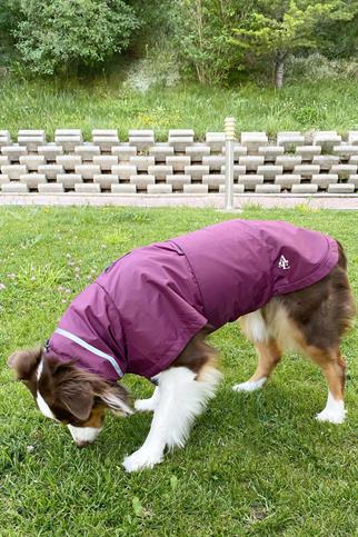 Asky&Erd Raincoat | Merlot Köpek Yağmurluğu