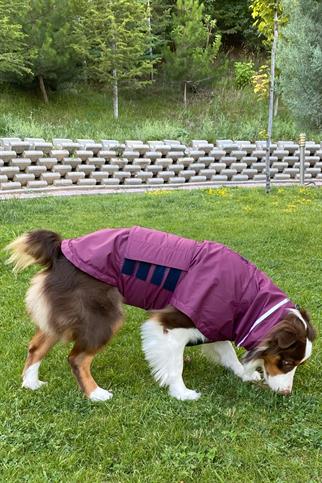 Asky&Erd Raincoat | Merlot Köpek Yağmurluğu