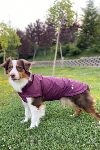 Asky&Erd Raincoat | Merlot Köpek Yağmurluğu