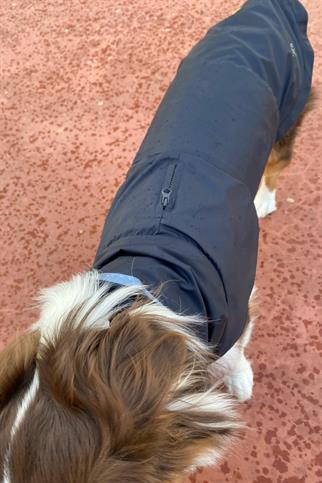 Asky&Erd Raincoat | Midnight Blue Köpek Yağmurluğu