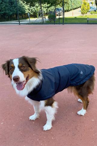 Asky&Erd Raincoat | Midnight Blue Köpek Yağmurluğu