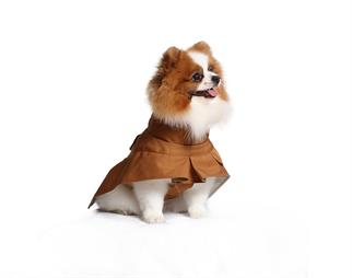 Asky&Erd Raincoat Trenchcoat | Cinnamon Köpek Yağmurluğu 