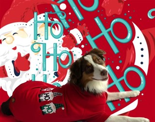 Asky&Erd Signature Köpek Sweatshirt - Ho Ho!! - Scarlet Red
